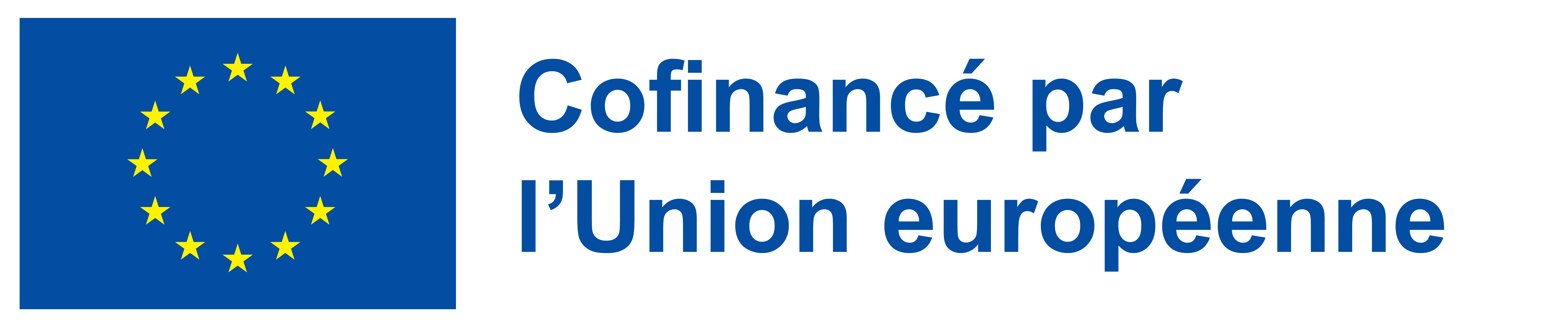Financé par l'Union européenne